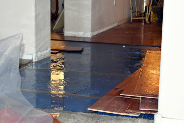 Professional Burst Pipe Cleanup technician working in Ortonville, MI